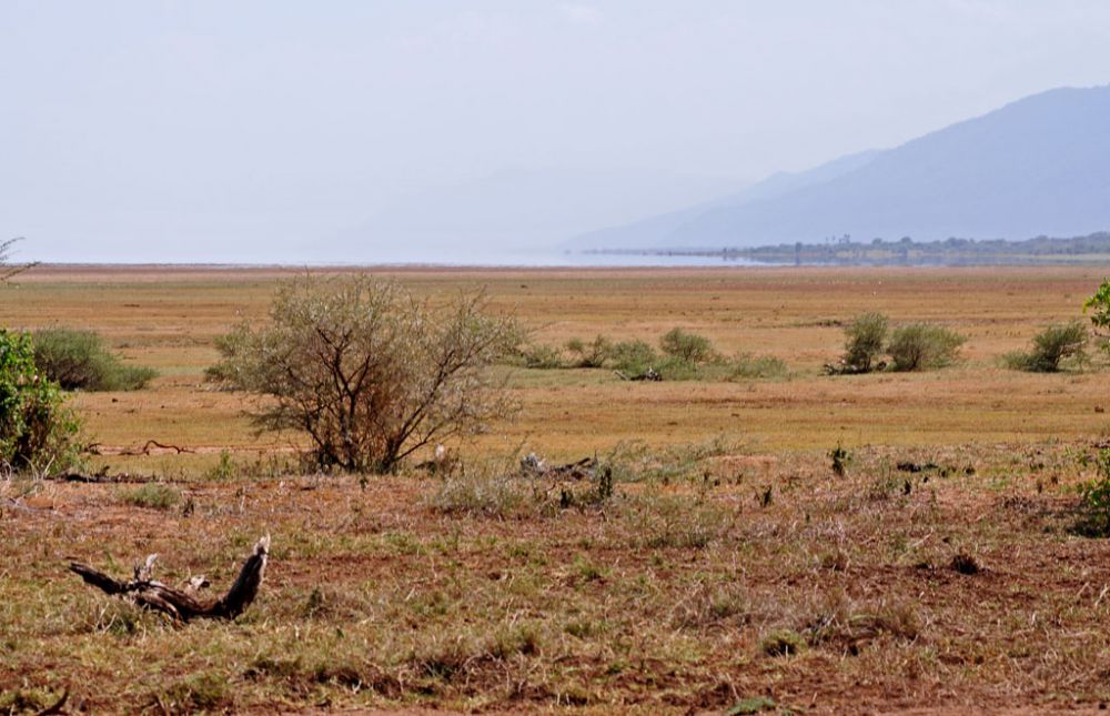 Spirit of Kenya field photograph 14