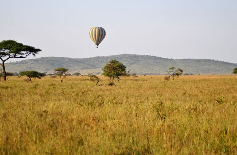 Spirit of Kenya field photograph 45