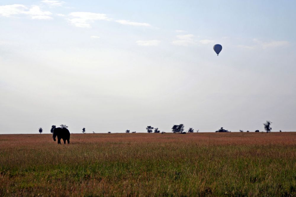 Spirit of Kenya field photograph 46