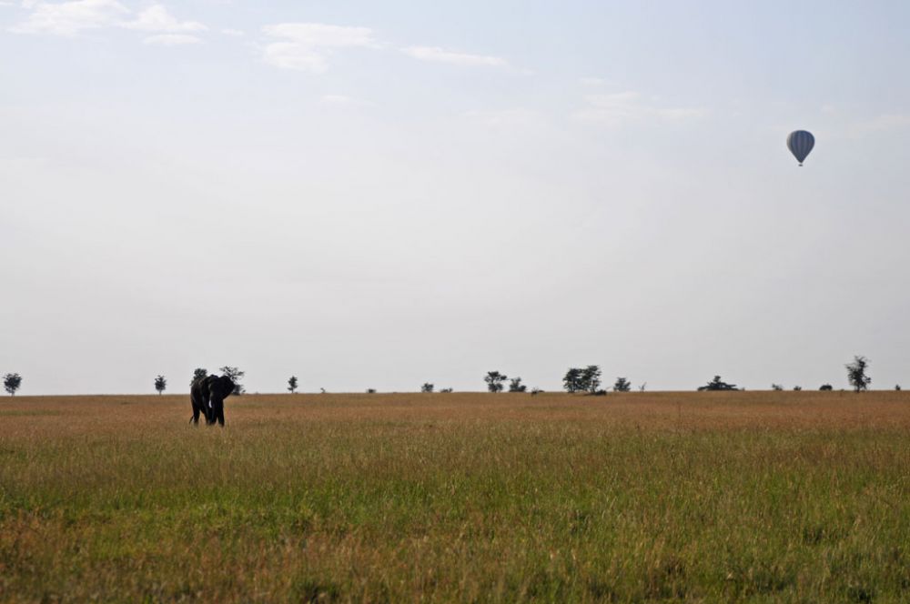 Spirit of Kenya field photograph 47