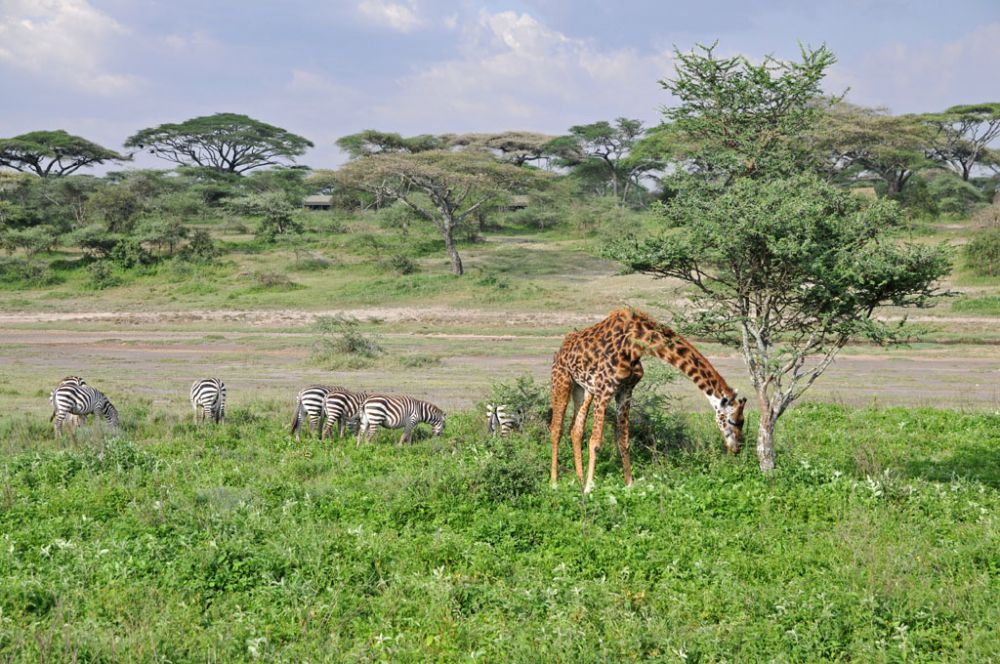 Spirit of Kenya field photograph 88