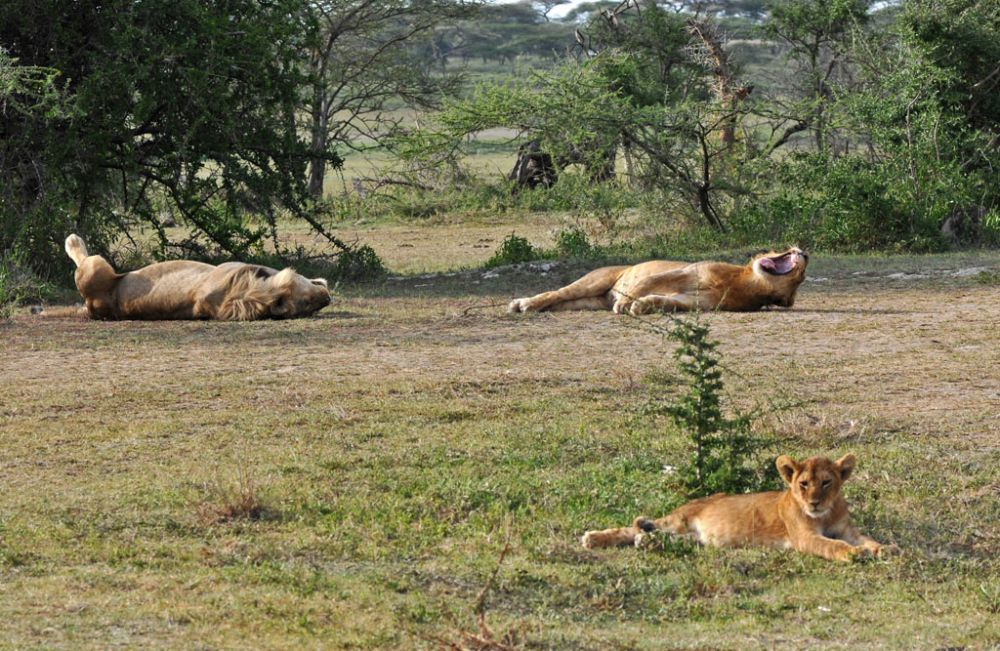 Spirit of Kenya field photograph 90