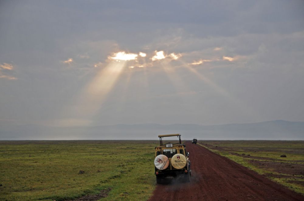 Spirit of Kenya field photograph 116
