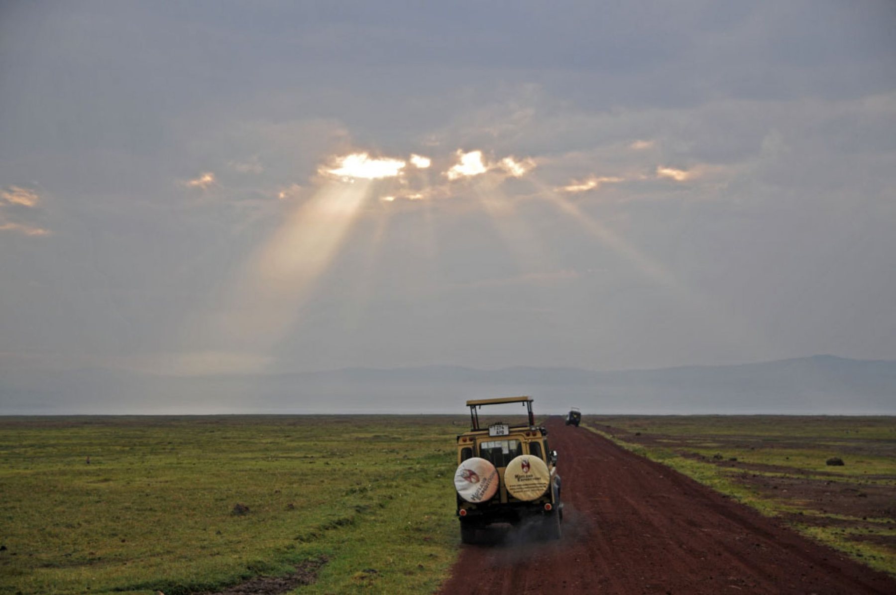 Roaring Kenya
