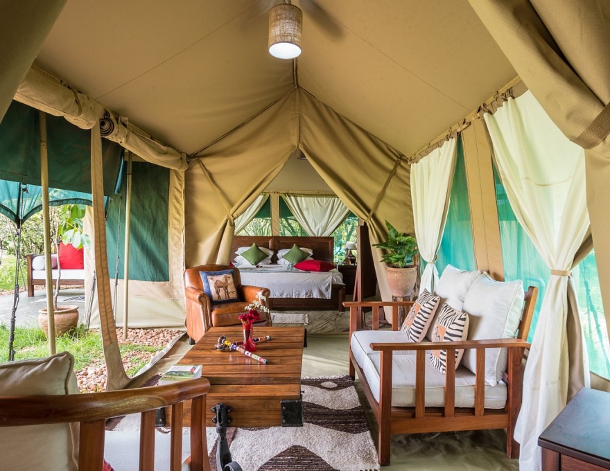 Losokwan Mara Camp 3
