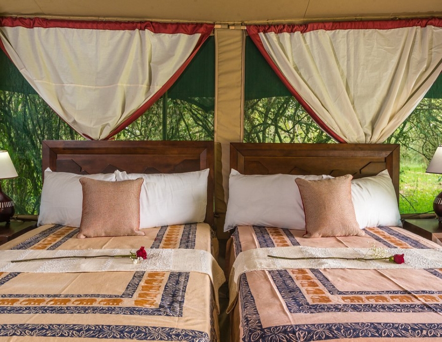 Losokwan Mara Camp 2